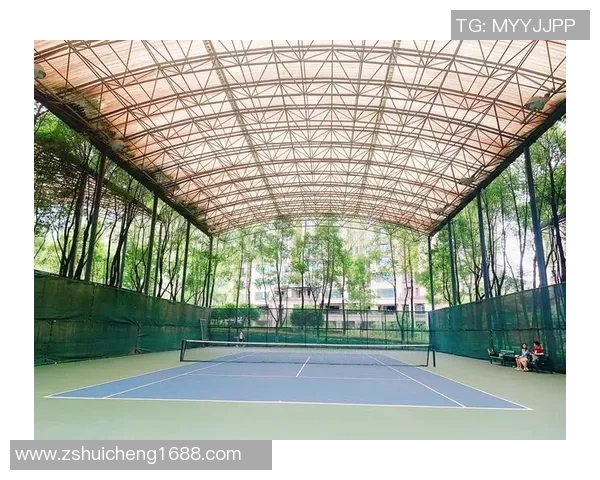 重庆网球队技术对比深度解析与发展潜力评估